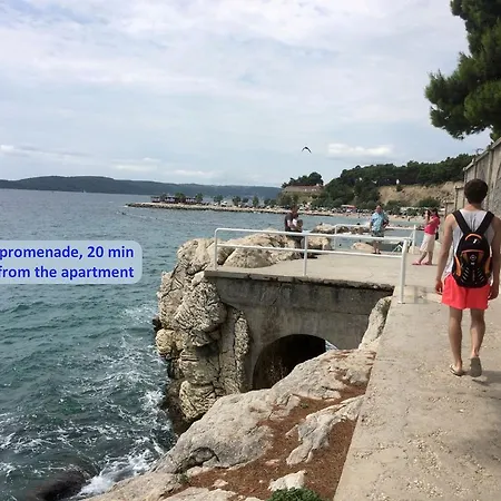 Chic In Center * Σπλιτ